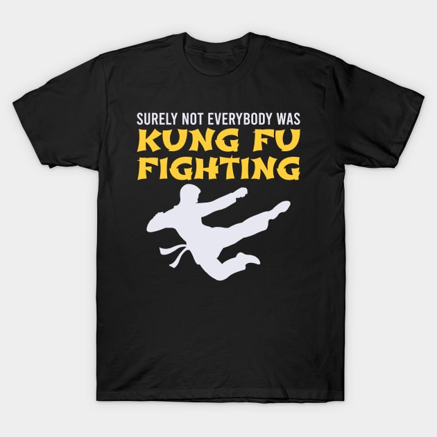 Surely Not Everybody Was Kung Fu Fighting T-Shirt by DragonTees